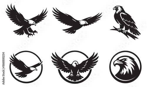 Graphic silhouette eagle set featuring various eagles in flight, perched, and emblem designs for logo creation and branding