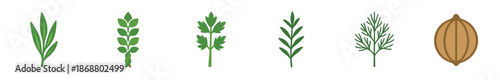 Collection of fresh culinary herbs and spices including rosemary, thyme, parsley, tarragon, dill, and coriander seed presented as a set of simple flat vector illustrations