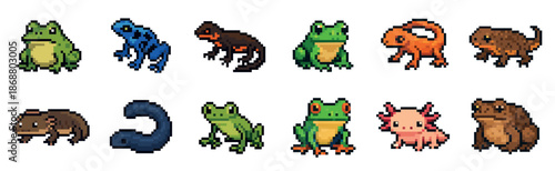 Pixel art collection of various amphibians including frogs, toads, salamanders, and an axolotl, designed in a retro 8-bit video game style with vibrant colors and simple shapes