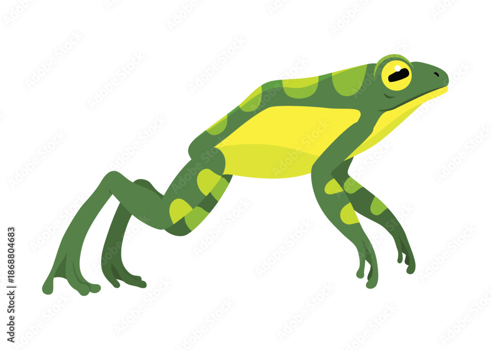 Fototapeta premium Frog jumping animation icon. Sequences or footage for motion design. Cartoon toad jumping, animal movement concept. Frog leap sequence, vector illustration