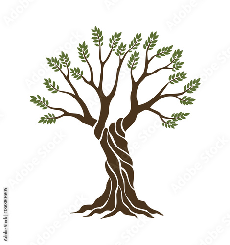 Olive trees with branches and leaves for design of packaging, label, logotype or banner. Natural organic stylized olive icon, premium quality sign. Vector illustration