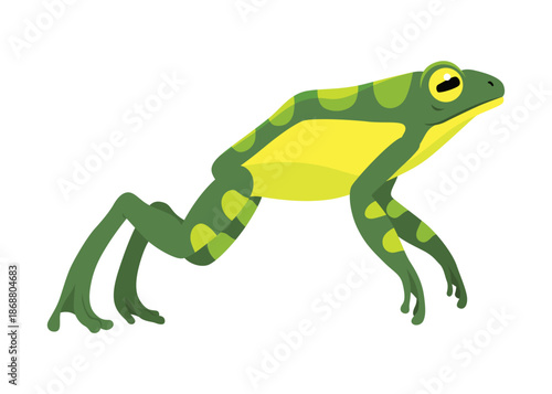 Frog jumping animation icon. Sequences or footage for motion design. Cartoon toad jumping, animal movement concept. Frog leap sequence, vector illustration