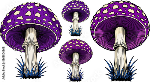 Purple spotted mushrooms set illustration
