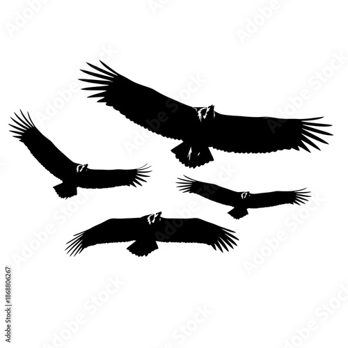 Group of Eagles in Flight Formation.