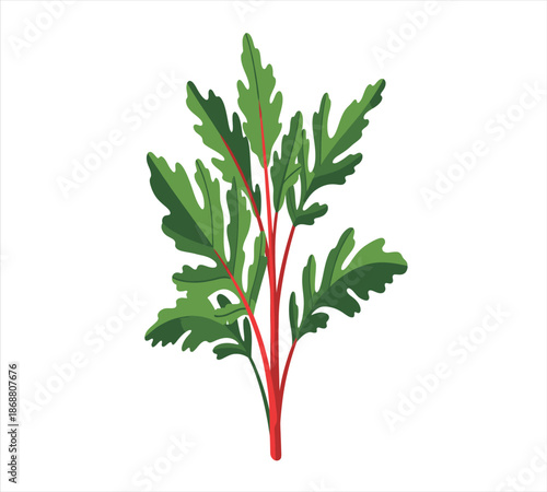 A vibrant illustration of a bunch of swiss chard with red stalks