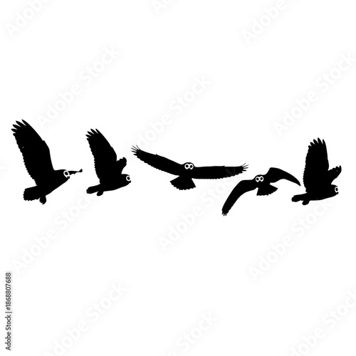 Four black birds flying together.