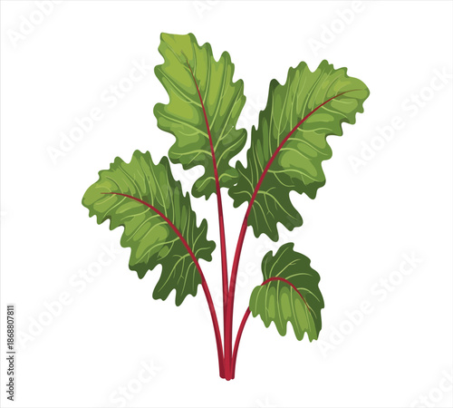 A vibrant collection of colorful chard leaves showcasing nature s palette