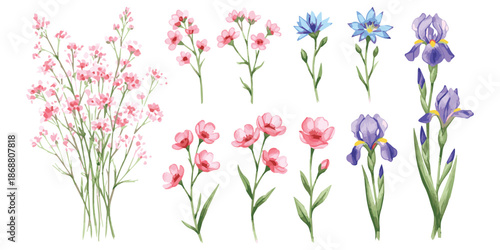 Watercolor collection of various flowers including pink blossoms, blue cornflowers, and purple irises