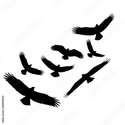 Group of Birds Flying Together.