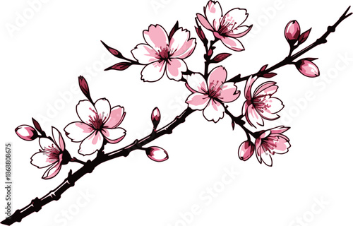 Elegant Traditional Chinese Plum Blossom Mei Hua Illustration for Lunar New Year