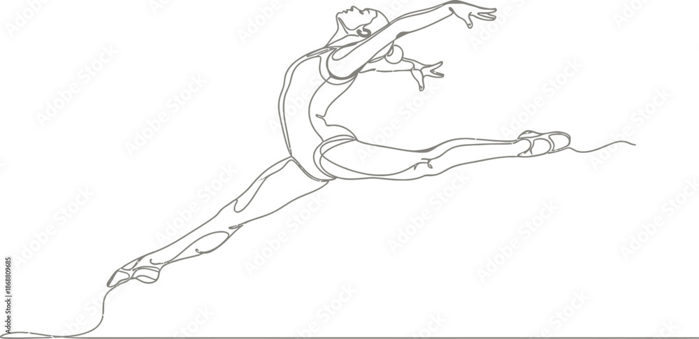 Fototapeta premium Adobe Illustrator Artwork