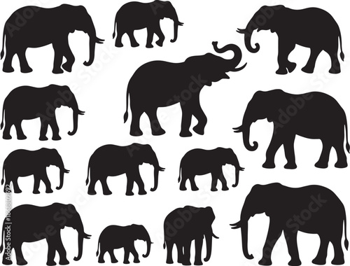 Black silhouette of multiple elephants in various poses on a white background with transparent background also transparent background