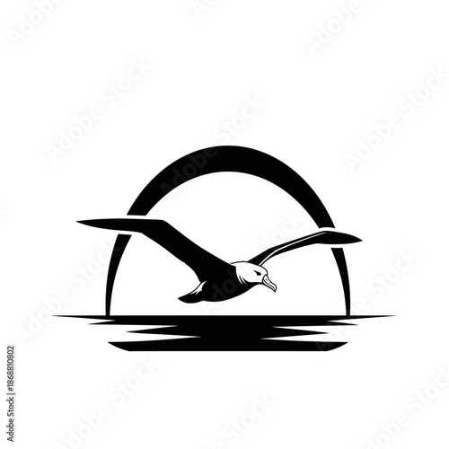 Seagull flying over water surface.
