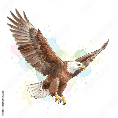Watercolor eagle design