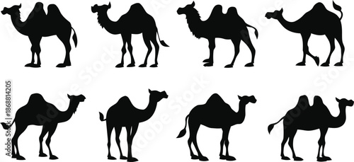 camel, silhouette, desert, middle east, travel, agency, arabic, culture, zoo, adventure, animal, education, nature, icon, graphic, vector, illustration, clipart, black, isolated, background, one humpe