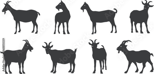 goat, silhouette, vector, illustration, set, livestock, farming, animal, agricultural, food industry, educational, mammal, farm animal, domestic animal, milk, cheese, rural, countryside, nature, wildl