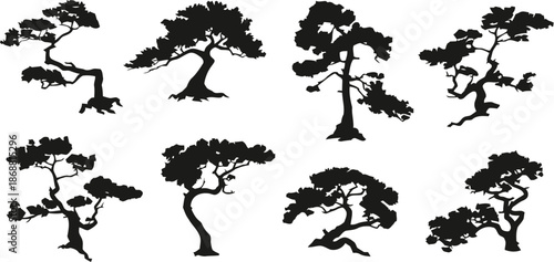 tree, silhouette, isolated, transparent, background, nature, black, white, vector, illustration, design, element, landscape, collection, set, various, oriental, stylized, plant, flora, branch, leaf, g