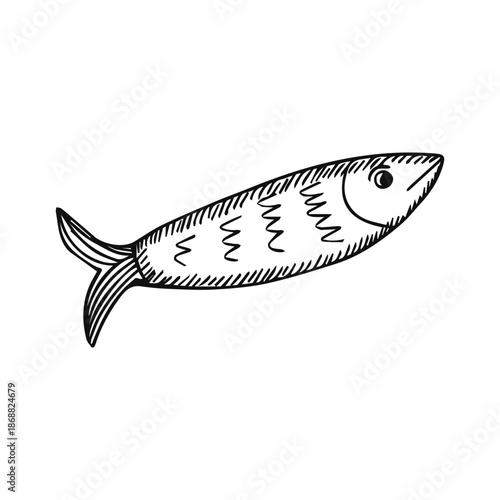 Fish sketch isolated on white background