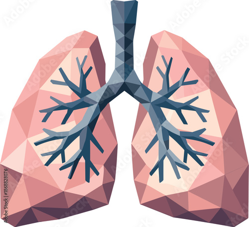 Low-Poly Anatomical Lungs. Low-poly vector illustration focused on anatomical lungs viewed frontally, polygonal geometric style
