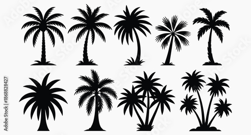 Collection of diverse palm tree silhouettes