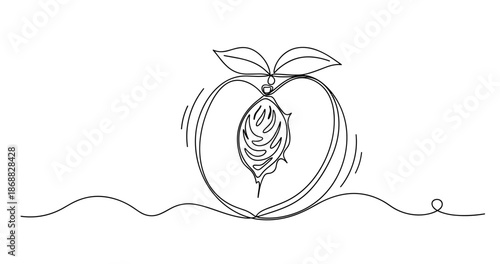 Minimalistic continuous line drawing of a peach with leaf and pit. No editable strokes