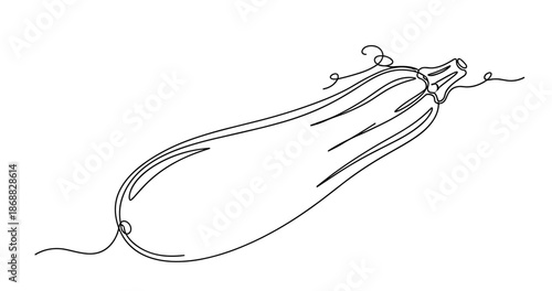 Simple line drawing of a zucchini with minimalist style. No editable strokes