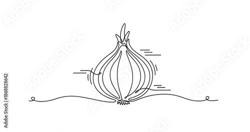 Minimalist continuous line drawing of onion on white background. No editable strokes