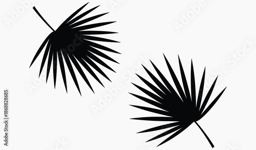 Black silhouette of two palm fronds on white background