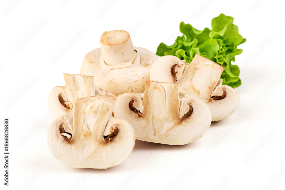Fototapeta premium Agaricus bisporus Mushrooms with Lettuce, isolated on white background