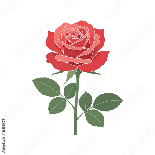 Red rose illustration on white background with green leaves and stem