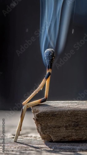 incense stick and incense sticks