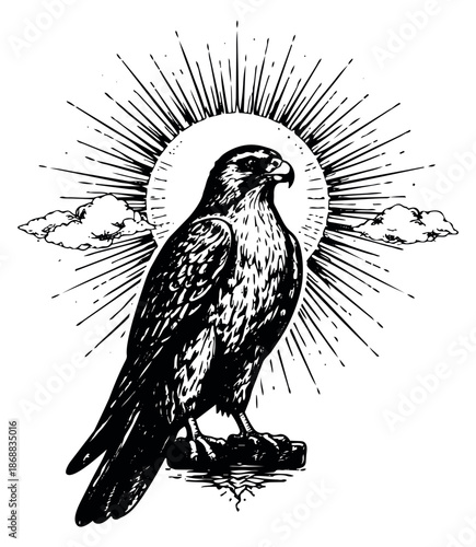 Hand drawn line art illustration of a falcon depicting a powerful bird of prey with a radiating sunburst for logo design