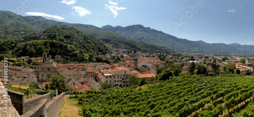 Bellinzona in Ticino seen from the Castello Grande