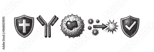 A medical illustration depicting the immune system's defense mechanism with antibodies neutralizing viruses, symbolizing protection and health.