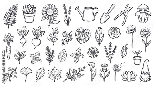 Collection of various botanical illustrations featuring different plants and gardening tools