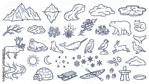 Illustrations of Arctic wildlife and landscape elements in a simple line art style