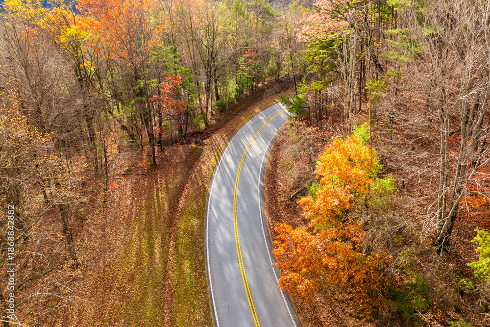 Fototapeta premium Scenic drive through Tennessee Appalachians at sunset in fall season. Car traveling on curvy forest road under vibrant autumn foliage
