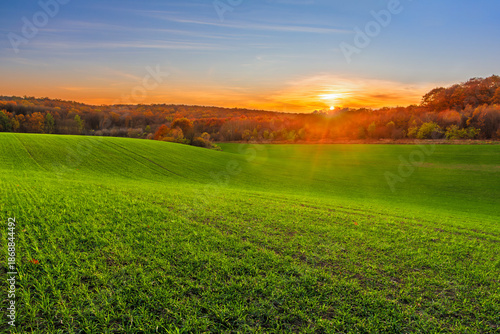 Picturesque sunset above wheat field and autumn forest