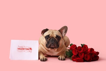 Cute French bulldog with roses and greeting card on pink background. Valentine's Day celebration