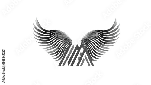 Elegant abstract wings with modern geometric shape. Graphic vector illustration of stylized dark feathers combined with a unique emblem design on white.
