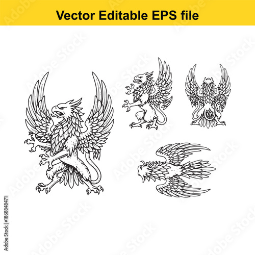 a set of four black and white griffin illustrations in various poses and views for design use isolated on white background