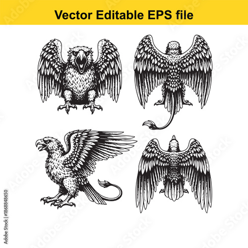 set of eagle and gryphon illustrations in black on a white background