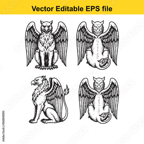 four mythical creatures with wings and sharp claws on isolated white background