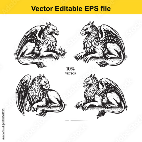 set of four griffin illustrations in different poses and angles vector