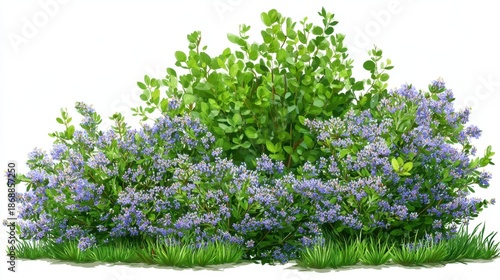 Lush green shrub with vibrant purple flowers and grass in blooming garden.