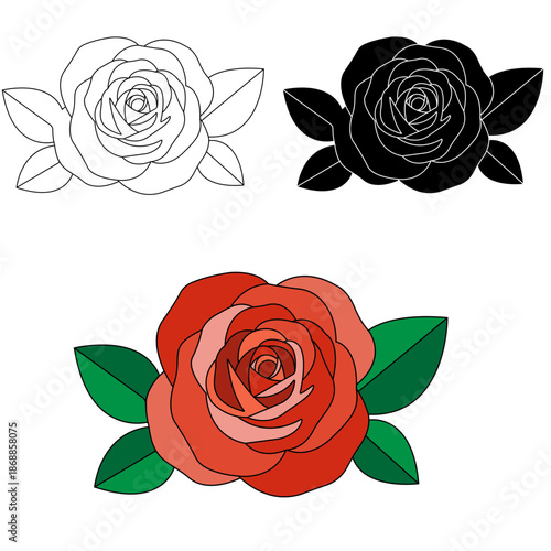 Red Rose with Green Leaves on Black Background flower