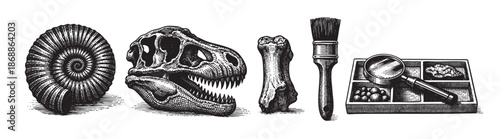 This black and white illustration features a T-Rex skull, ammonite fossil, bone, brush, and magnifying glass arranged for a scientific or educational theme.
