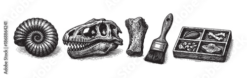 An illustrative collection of dinosaur fossils, including an ammonite, a Tyrannosaurus Rex skull, a bone fragment, and a brush, presented in a detailed black and white engraving style.