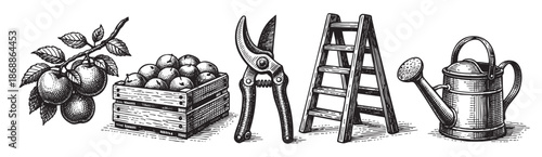 A vintage woodcut style illustration featuring a branch with apples, a wooden crate full of apples, pruning shears, a ladder, and a watering can, set against a white background.