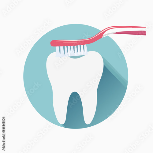 正しい歯磨き説明用歯と歯ブラシベクター